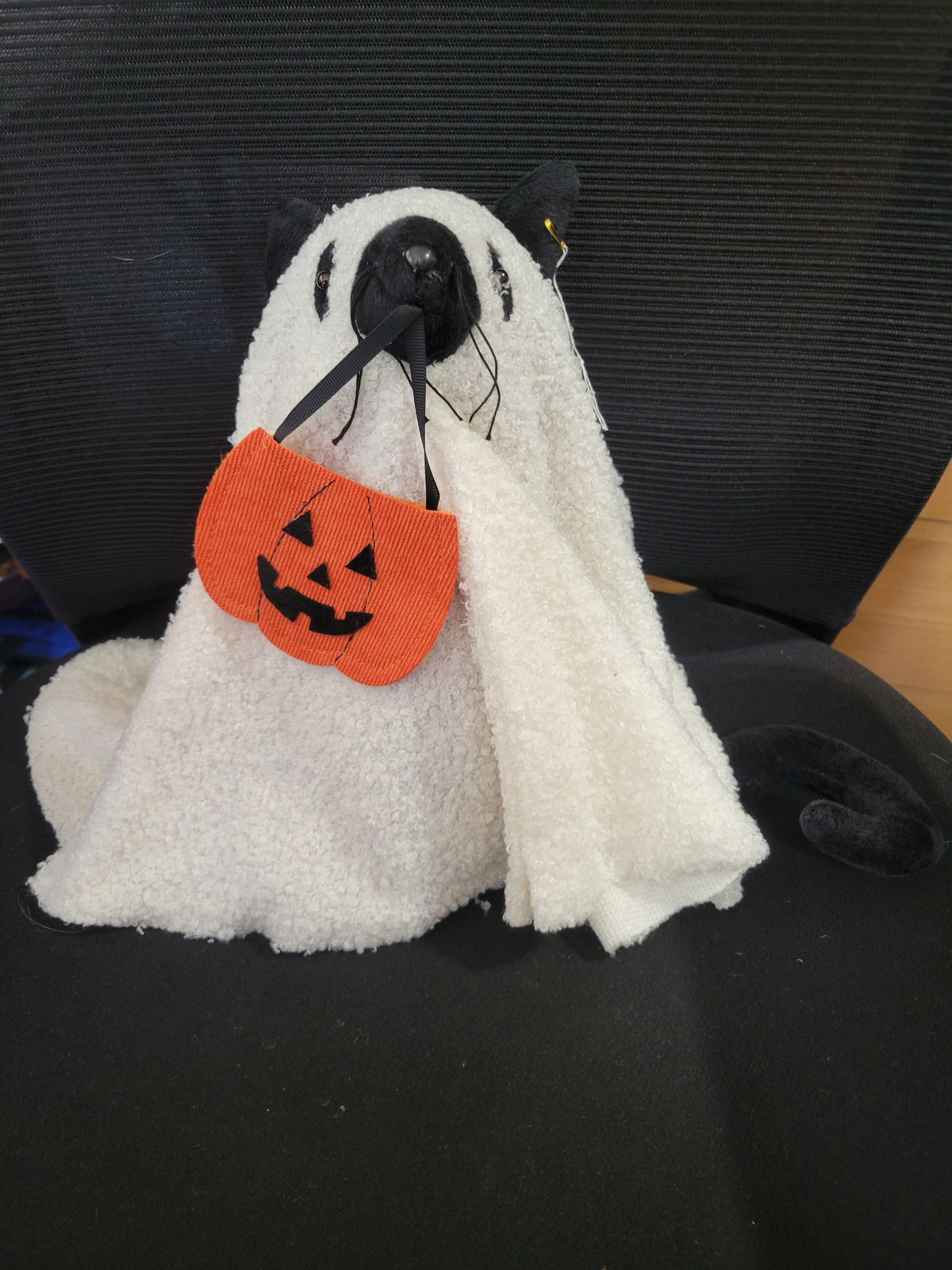 Ghost Cat w/Pumpkin |Plush